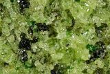 Peridot Crystals in Basalt - Arizona #368597-2